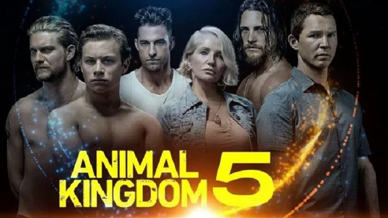 Animal Kingdom Season 5 All Episodes Watch Online Release Date Spoilers