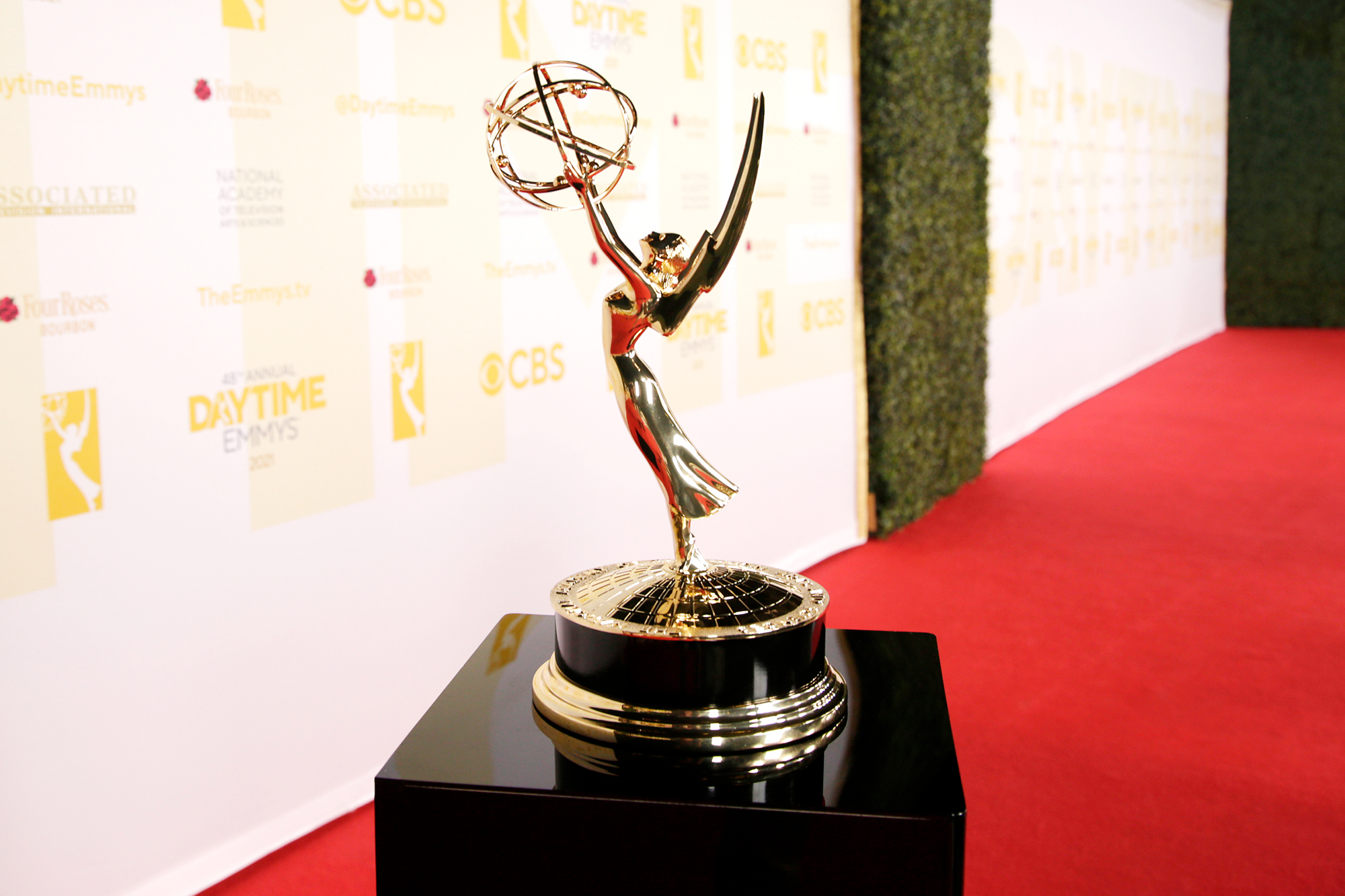 48th Daytime Emmy Awards Ceremony: Winner List 