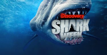Discovery's Shark Week 2022 Grand Finale: Winner Name Announced, Contestants & Prize Money