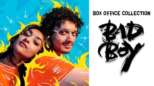bad boy box office collection