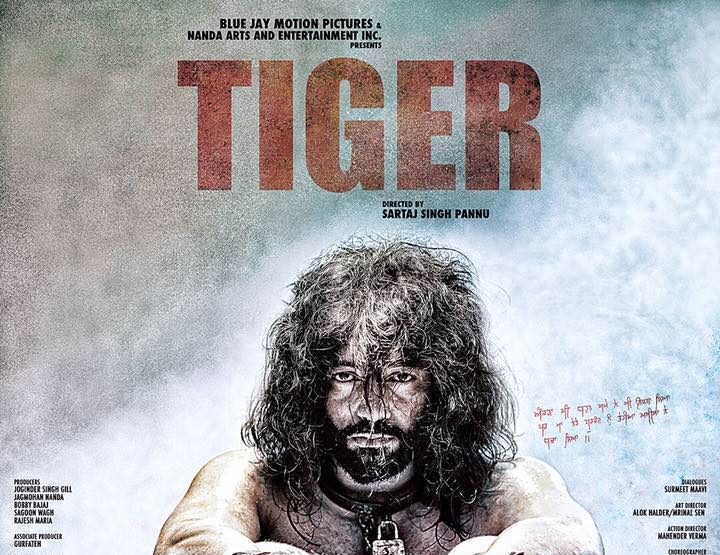 Punjabi Tiger Movie Review & Rating, Hit or Flop, Box Office Collection