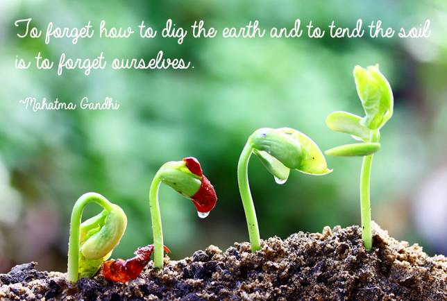 World Soil Day 2020 Theme, Quotes, Slogan, Poster, Status, Images