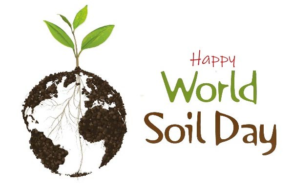 World Soil Day 2020 Theme, Quotes, Slogan, Poster, Status, Images