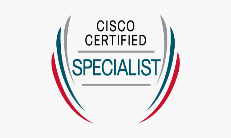 What are the Career Paths After Cisco Certification?