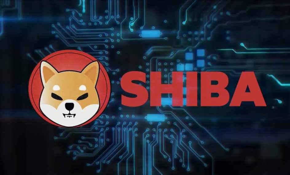 Shibu Inu Coin Jumped Over 70 How To Buy Coin In India Price Targets & All Details