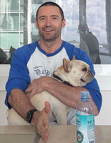 Actor Hugh Jackman Announced His Beloved Dog Dali Death, Reason & Pictures
