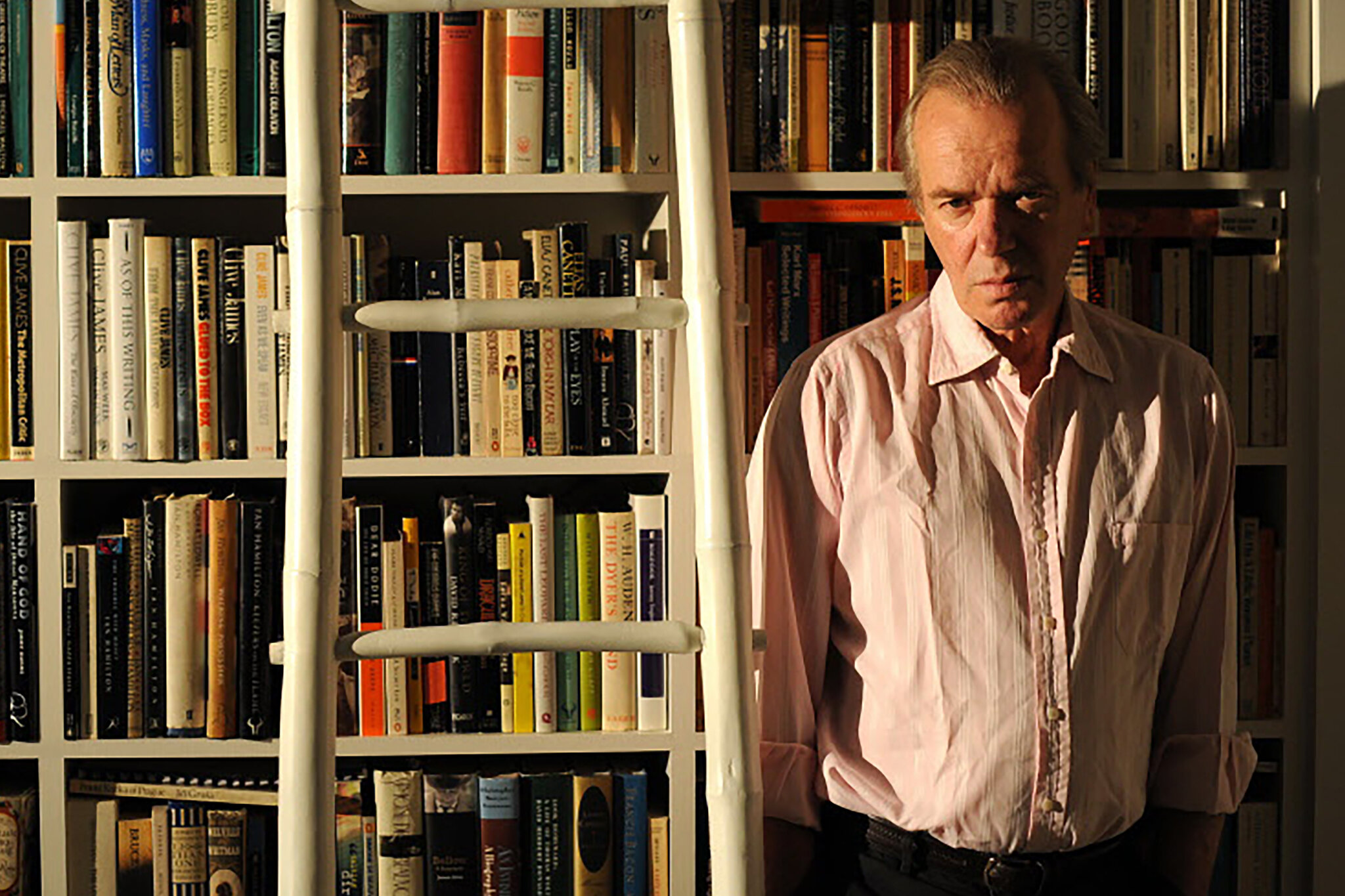 Martin Amis Cause Of Death