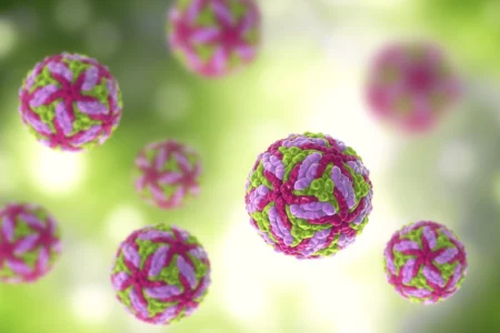 First Death From Powassan Virus Infection
